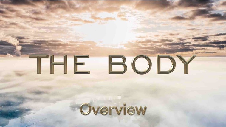 The Body Overview